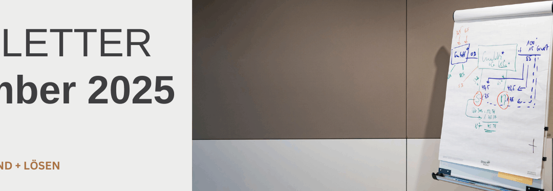 Newsletter November 2025