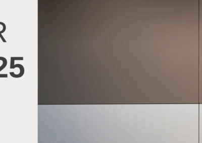 Newsletter November 2025